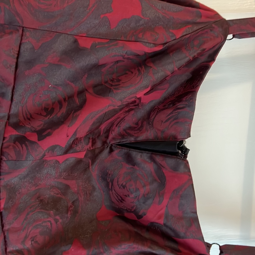 Gorgeous Evening Dress 16W - Picture 2 of 5